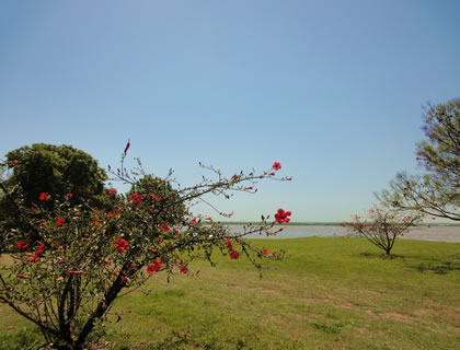 FINCA DEL PARANA