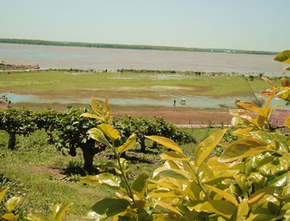 FINCA DEL PARANA