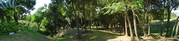 Finca del Parana