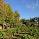 FINCA DEL PARANA